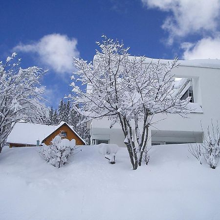 Apartment Willmann By Interhome Eisenbach  Dış mekan fotoğraf
